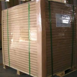 Good price Carbonless Paper china online